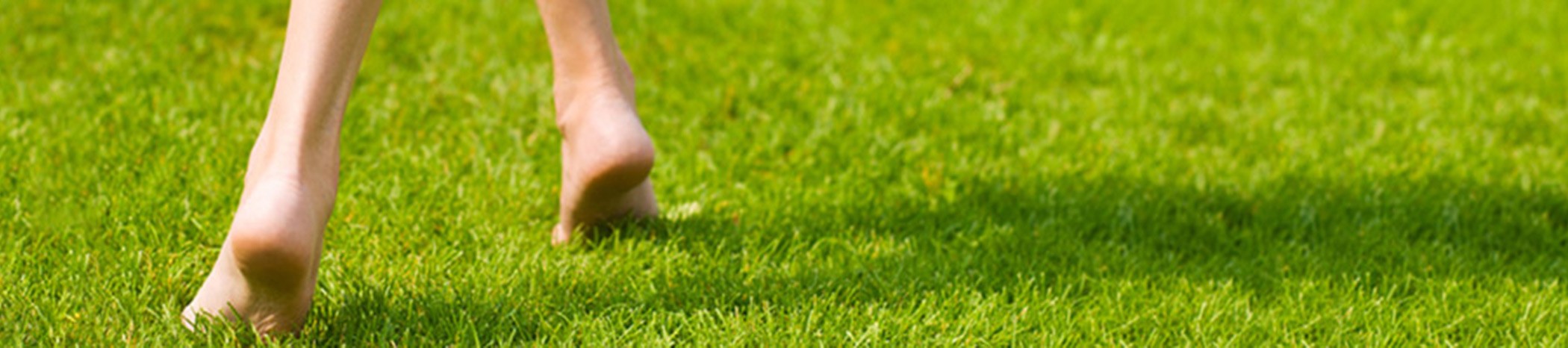 banner-01